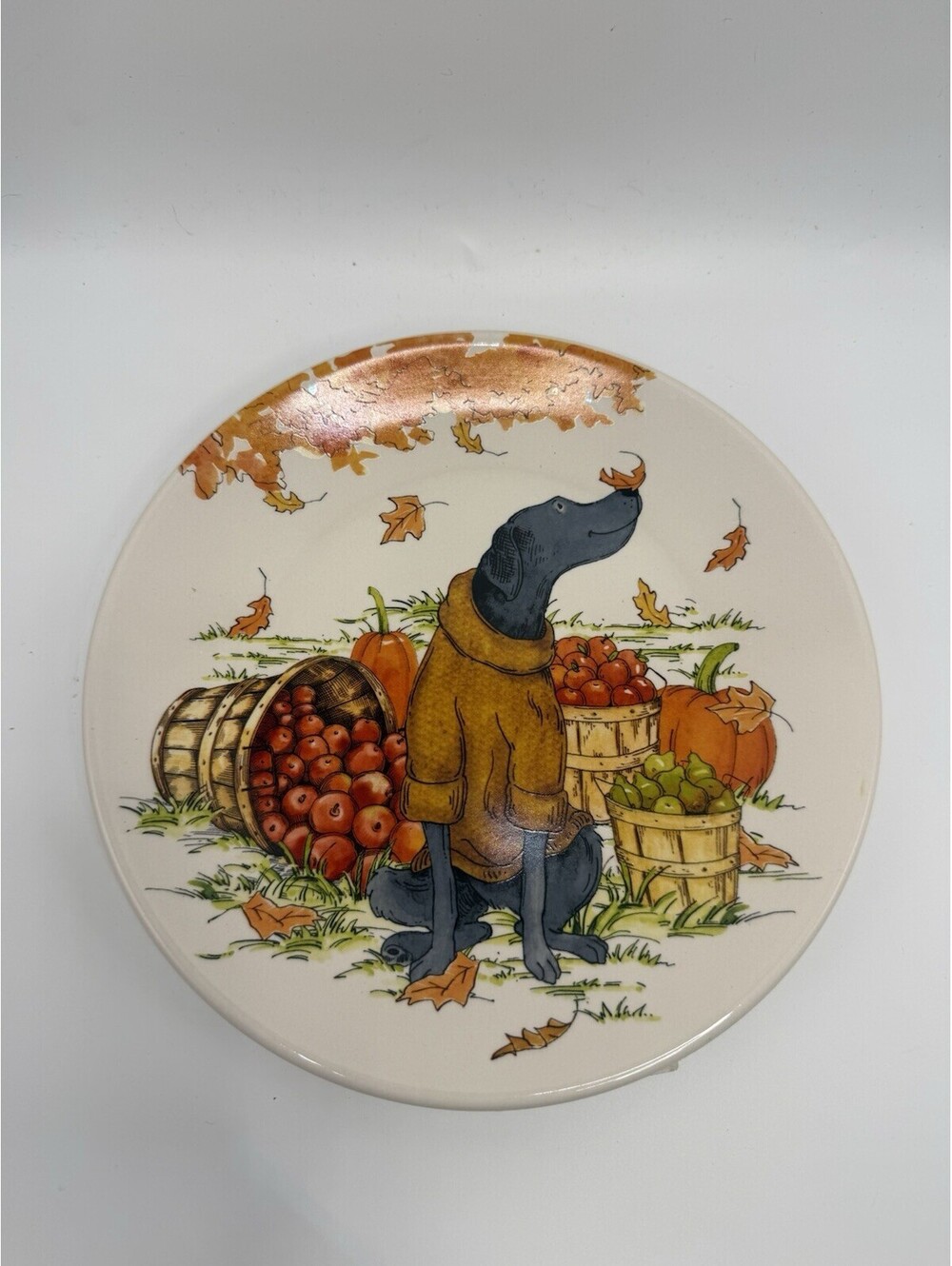 Certified International Sherri Buck Baldwin Fall Dog Tableware Plate